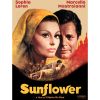 Sunflower (1970) (Vietsub) - Hoa Hướng Dương