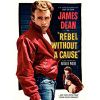 Rebel Without a Cause (1955) (Vietsub) - Thiên Thần Nổi Loạn