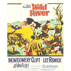Wild River (1960) (Vietsub) - Dòng Sông Hoang Dã